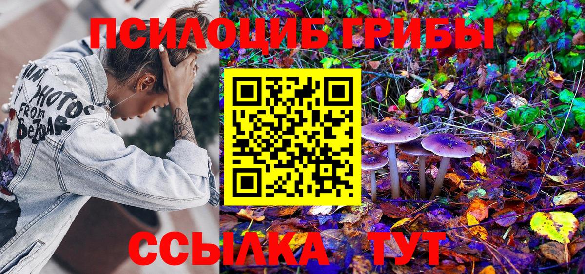 Галлюциногенные грибы GOLDEN TEACHER  где найти   Слободской  Вход с VPN 